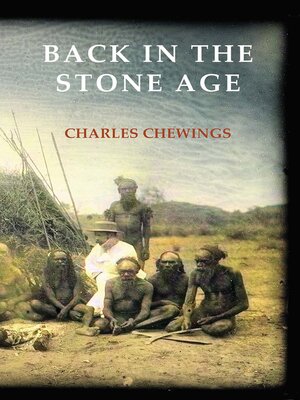 cover image of Back in the Stone Age